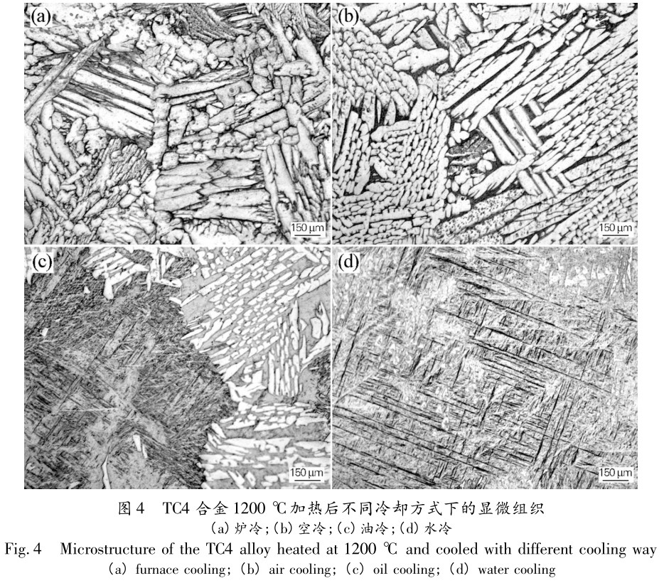 熱處理工藝對(duì)TC4鈦合金厚板組織及硬度的影響 熱處理工藝對(duì)TC4鈦合金厚板組織及硬度的影響