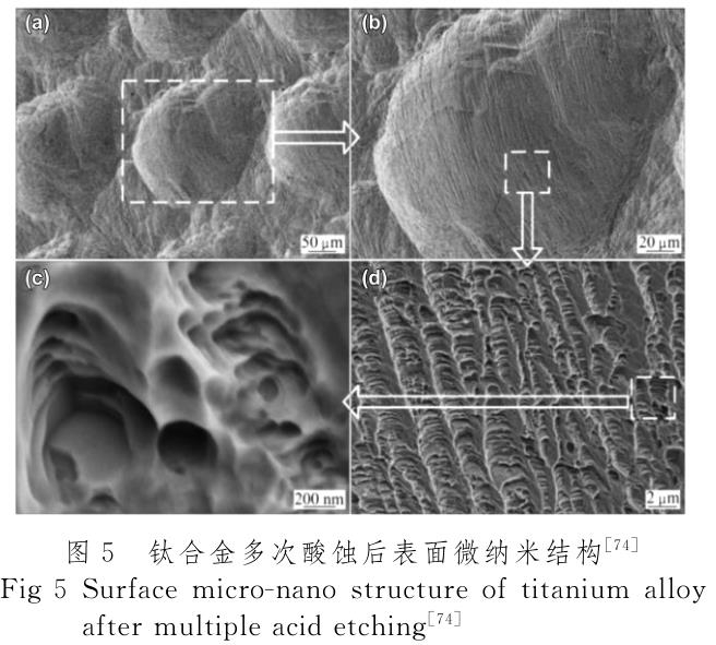 醫(yī)用鈦合金表面改性技術(shù)研究進(jìn)展 醫(yī)用鈦合金表面改性技術(shù)研究進(jìn)展