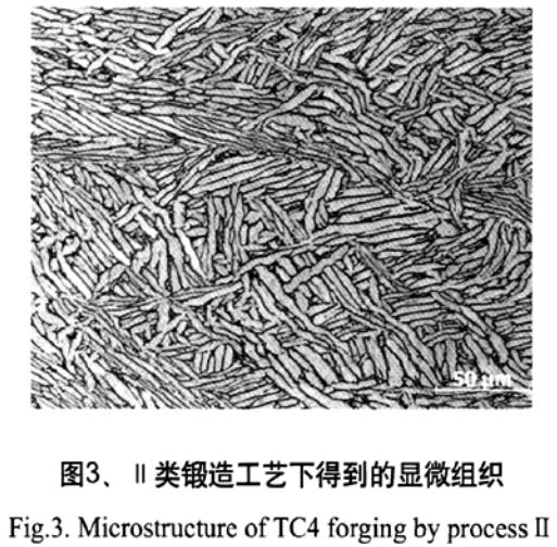 1713884744257563.jpg 1687612179582999.jpg