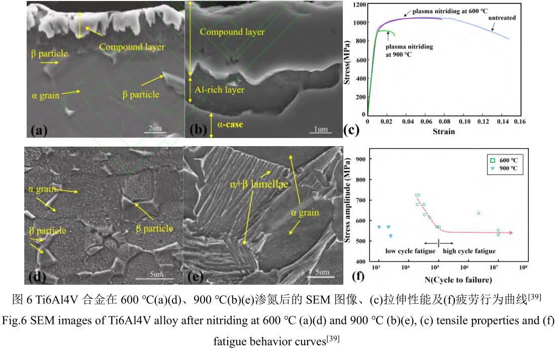 1714469813786476.jpg 360截圖16360731104127113.jpg