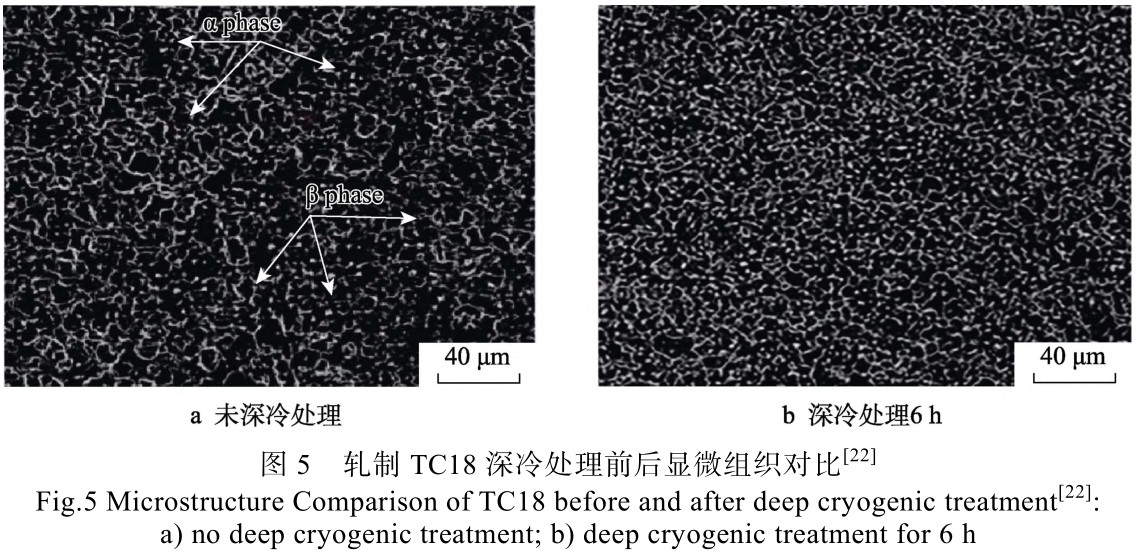 1714996033971744.jpg 未標題-6.jpg