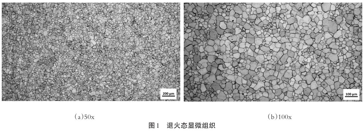 1701296659644720.jpg t1.jpg