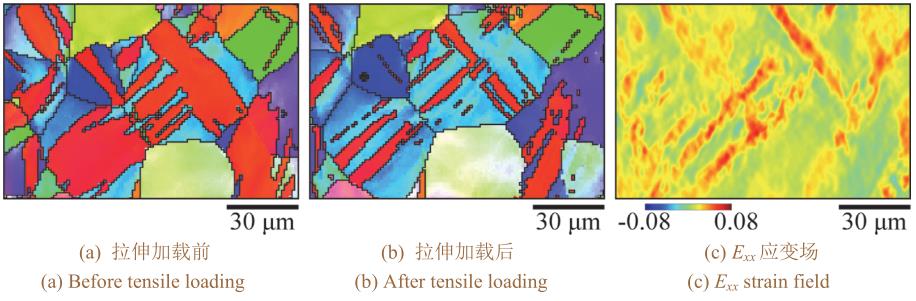 1716124046541417.jpg 360截圖164901288210366.jpg