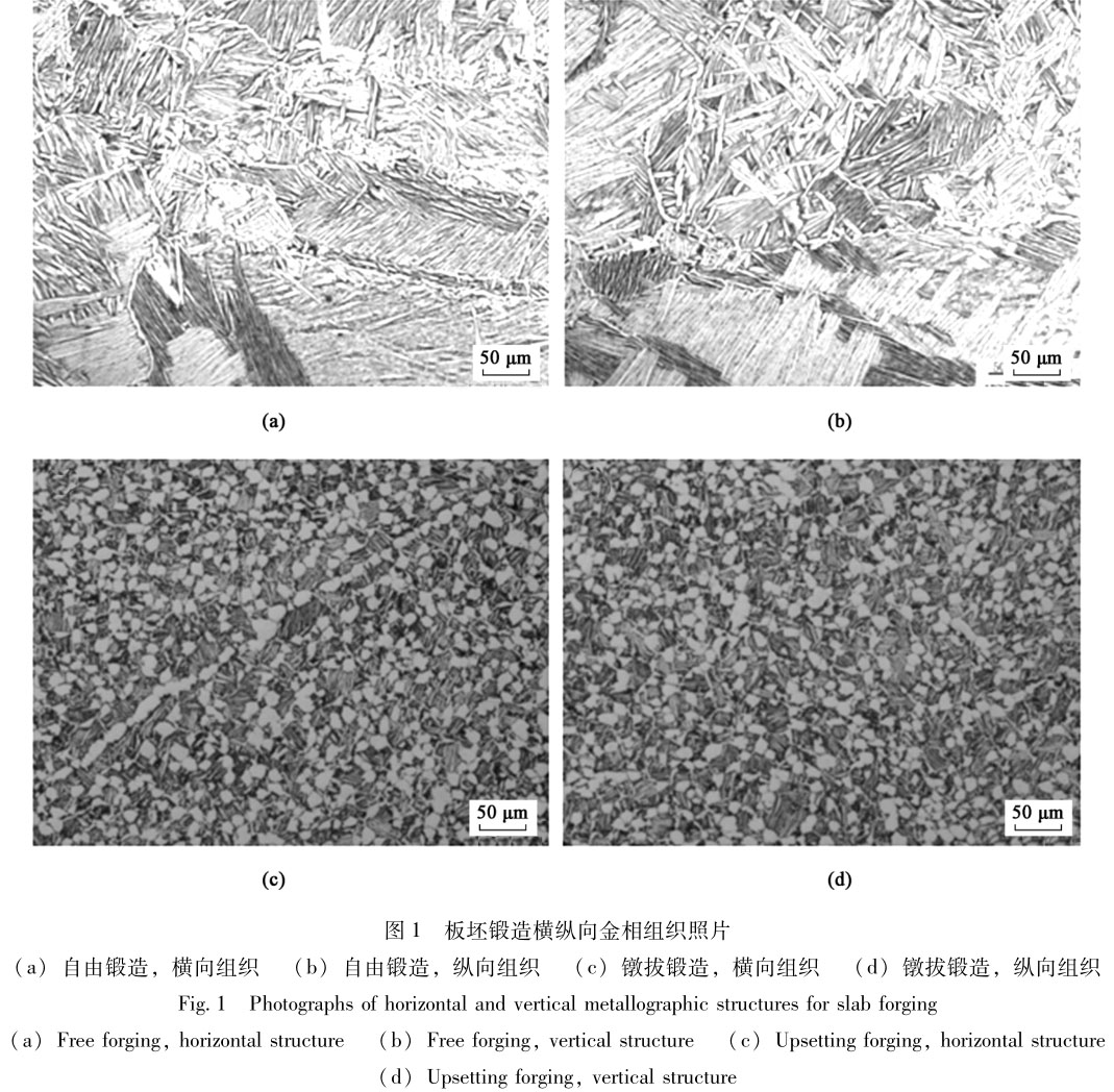 1720353797544539.jpg t1.jpg