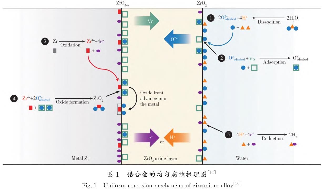 1729065225598995.jpg t1.jpg