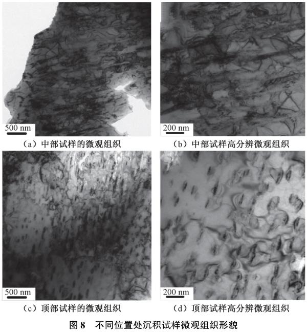 1729243151550448.jpg t8.jpg