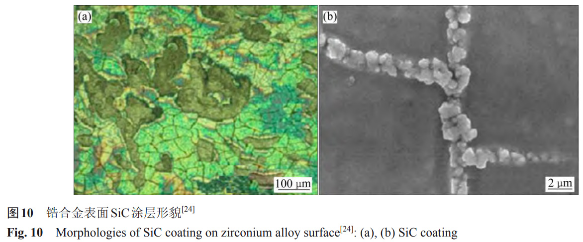 1734081856869799.jpg 10.jpg