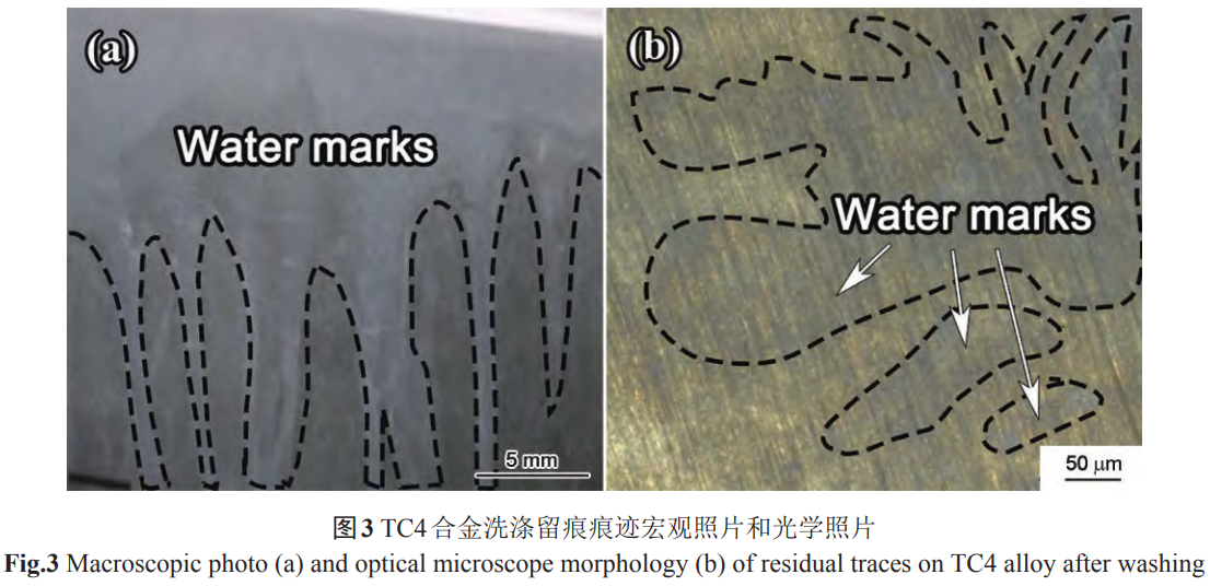 1738593671182066.png 截圖20250203223637.png