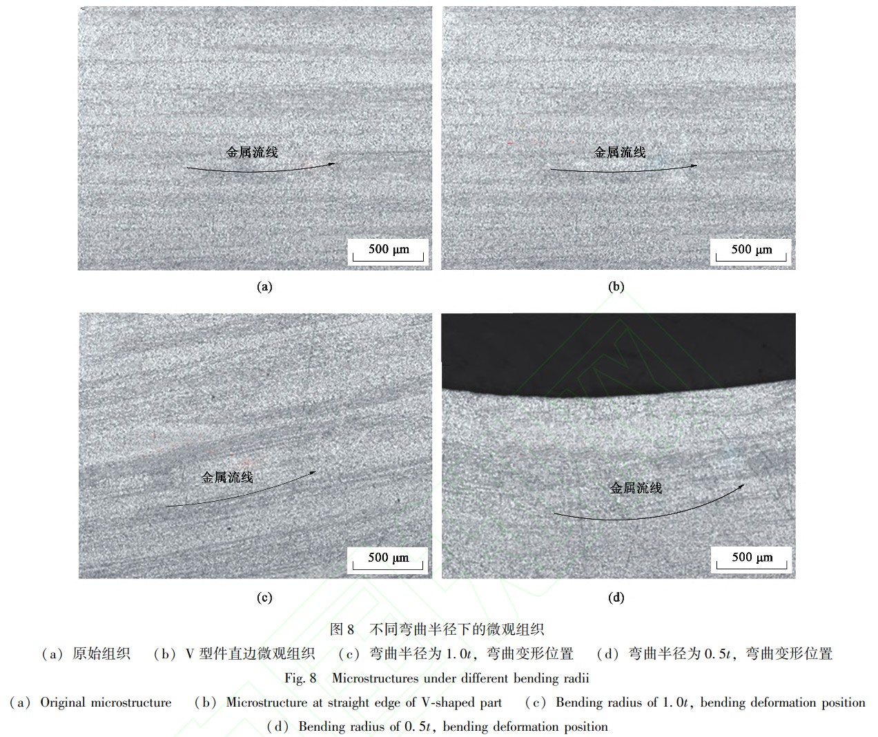 1738670866279221.jpg t8.jpg