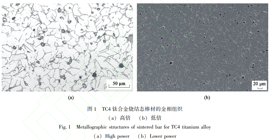 1738832675124959.png 截圖20250206162712.png